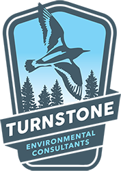 Turnstone Environmental Consultants, Inc.