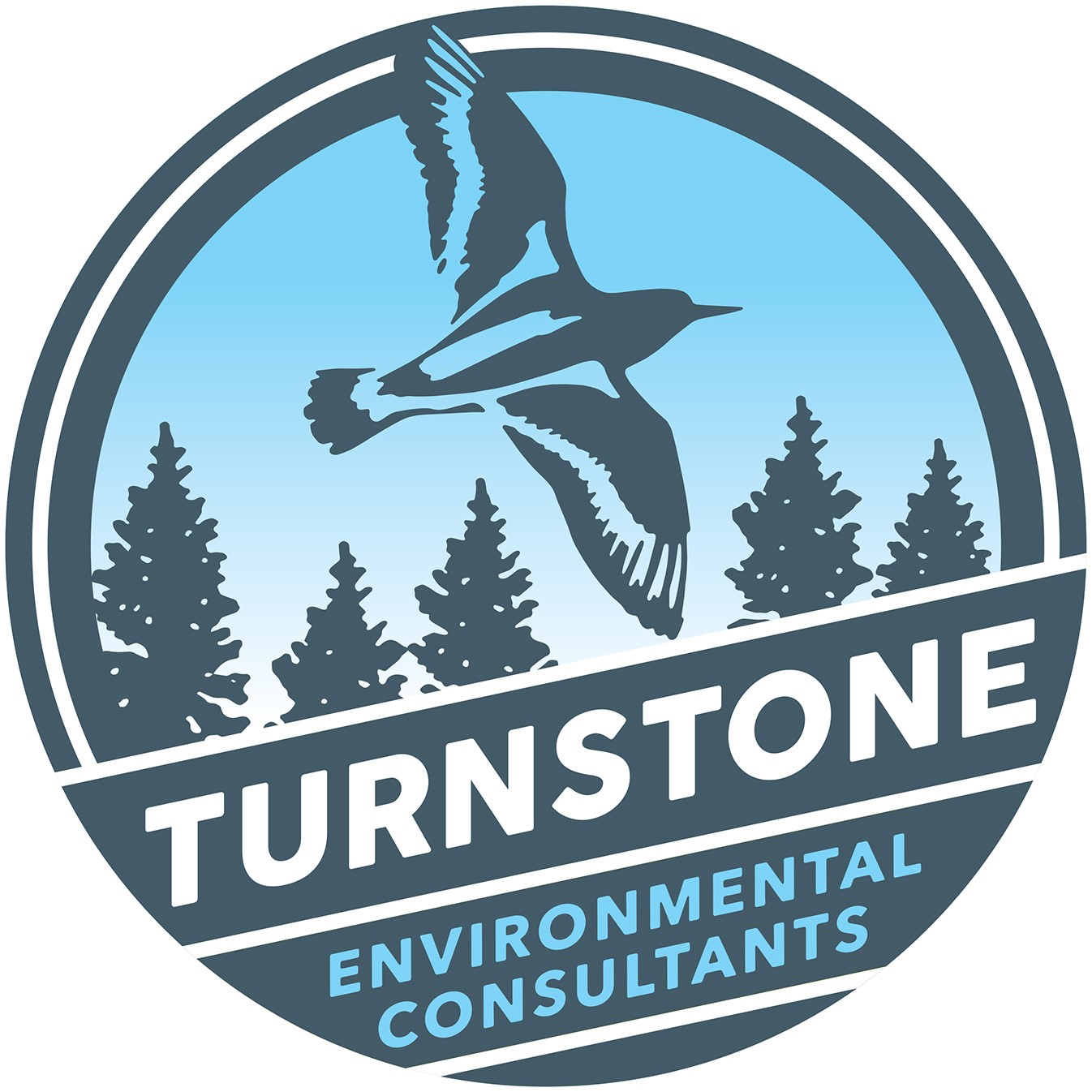 turnstone_environmental